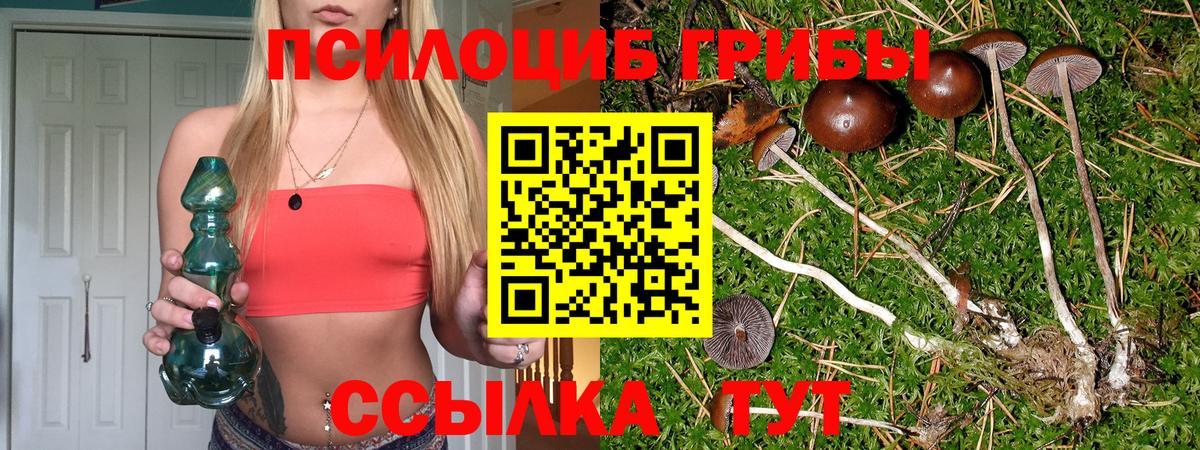 Бугуруслан  Галлюциногенные грибы Psilocybine cubensis  Галлюциногенные грибы Psilocybe  Вход с VPN 